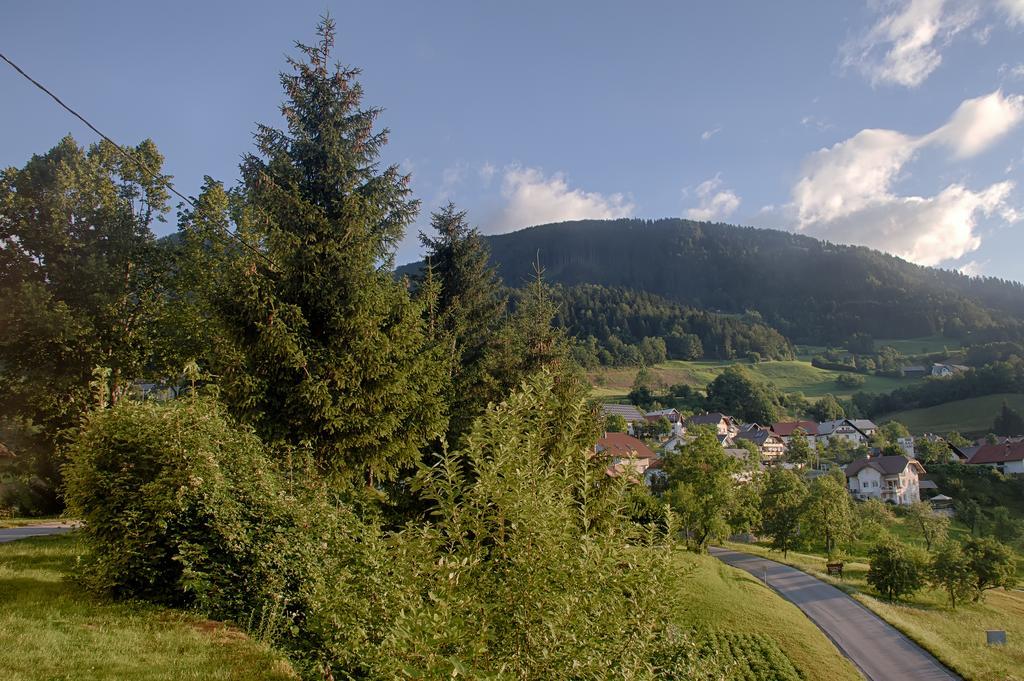 Gostilna Pension Blegos Poljane nad Škofjo Loko Exteriör bild