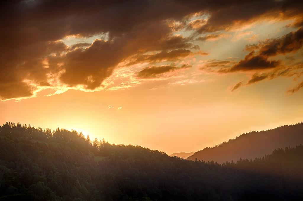 Gostilna Pension Blegos Poljane nad Škofjo Loko Exteriör bild